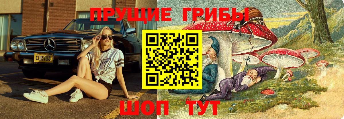 где купить наркотик  Псилоцибиновые грибы мухоморы  Вход с VPN  Белореченск 