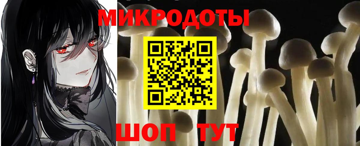 Галлюциногенные грибы Psilocybe Белореченск